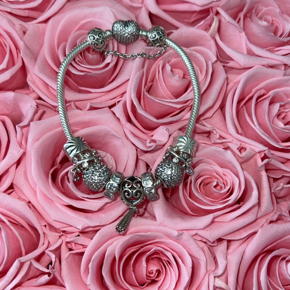 Pandora bracelet with charms, safety chain, and clips! SZ 19